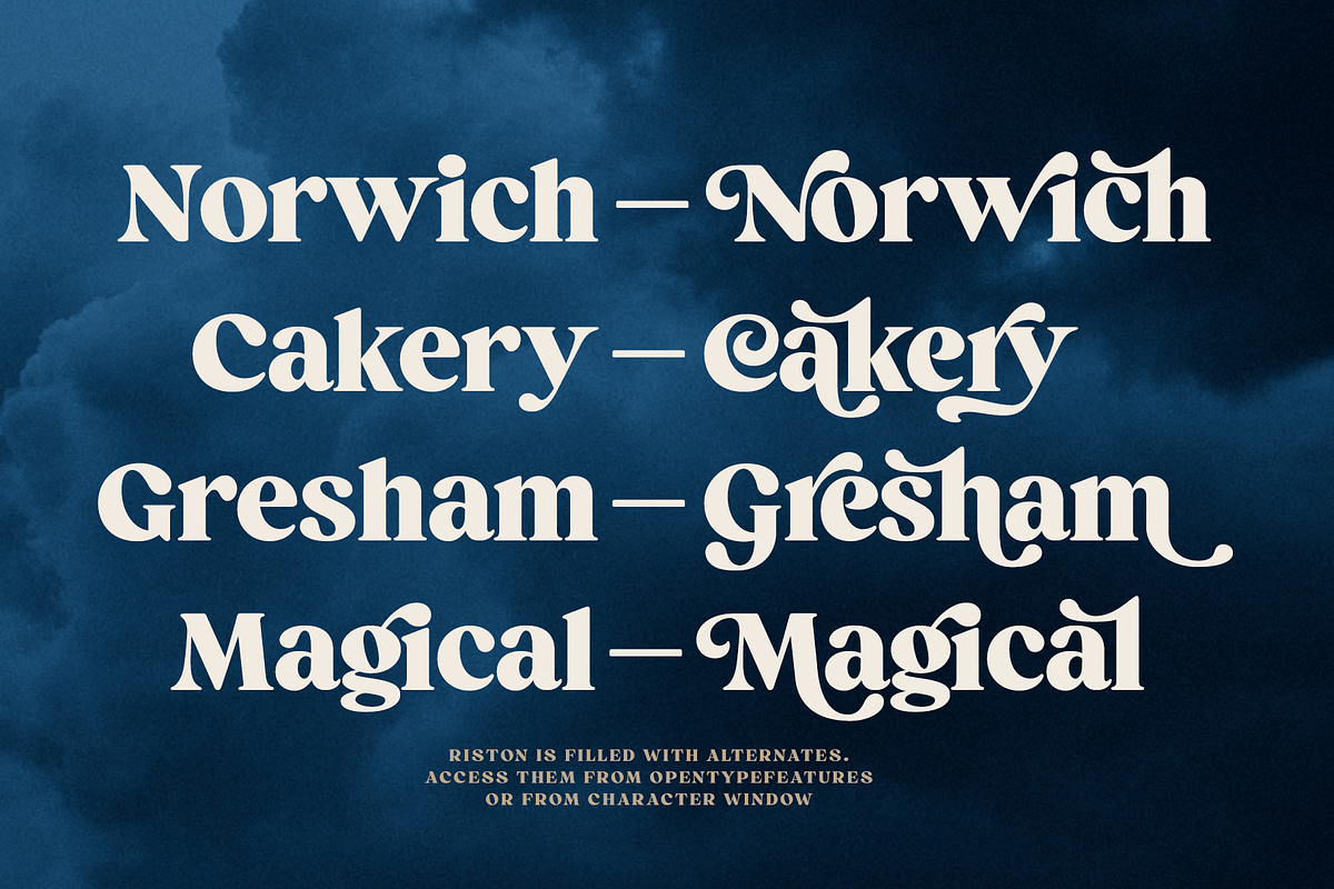 Briston Serif, a Serif Font by Fenotype (Photo 8 of 14)