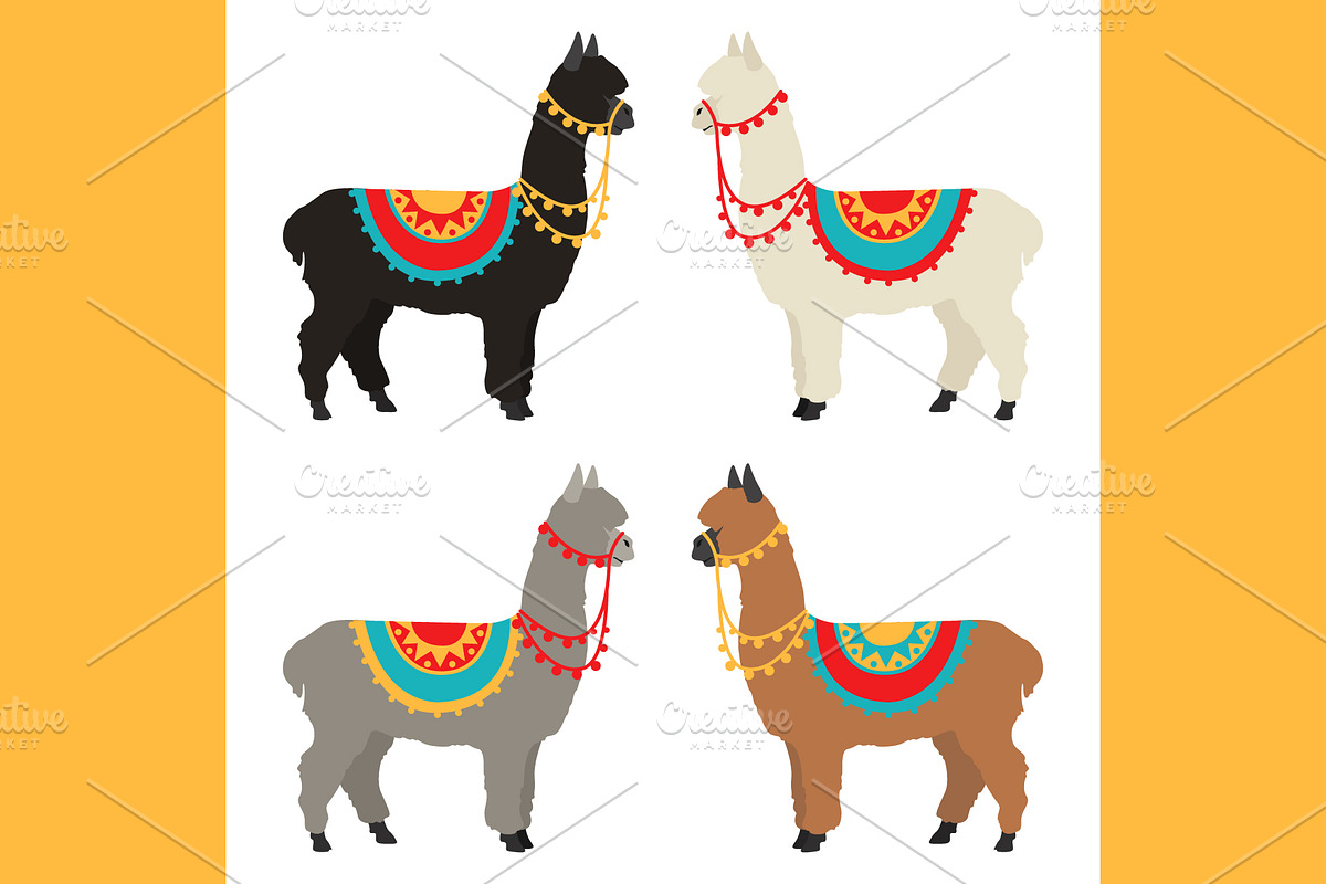Alpaca clip art, an Animal Illustration by pet design shop (Photo 2 of 5)
