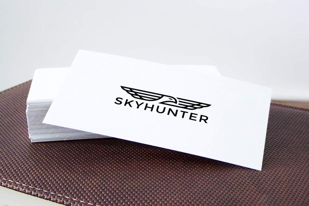 Skyhunter Logo Template, a Branding & Logo Template by pne-design (Photo 2 of 2)
