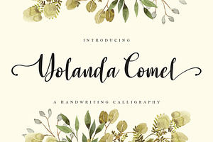 Yolanda Comel - Calligraphy Font