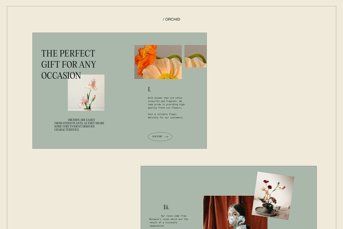 Orchid | E-commerce UI KIT Template, a Landing Page Template by Skolastika Phoebe (Photo 7 of 7)