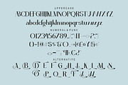 Valiona, a Serif Font by Kenrichi (Thumbnail 8 of 10)