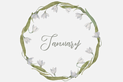 Winter Wildflowers, an Illustration by Elisa Ursa (Thumbnail 5 of 7)