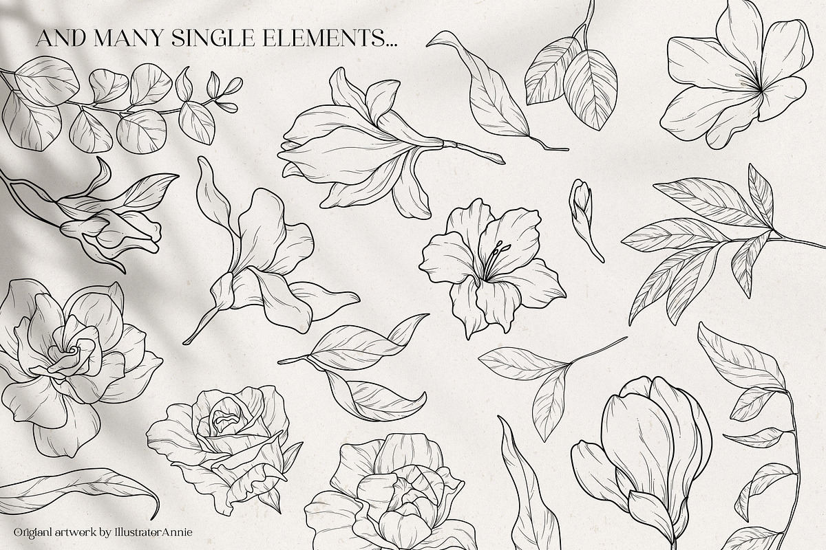 Floral Garden - Floral Line Art, an Illustration by IllustratorAnnie (Photo 8 of 10)