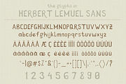 Herbert Lemuel Script, a Sans Serif Font by BlueRobinDesignShop (Thumbnail 11 of 13)