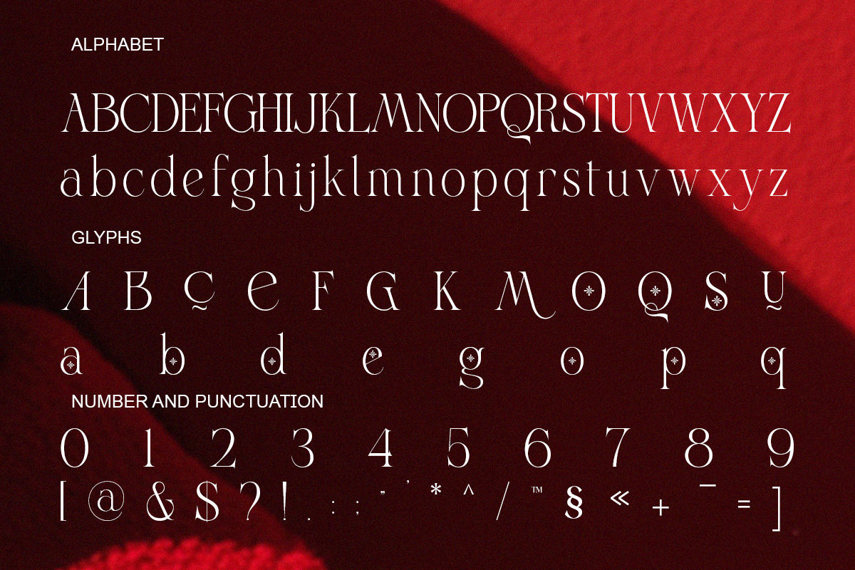 Vroza Conte - Elegant Modern Display, a Serif Font by Qweera Studio (Photo 12 of 12)