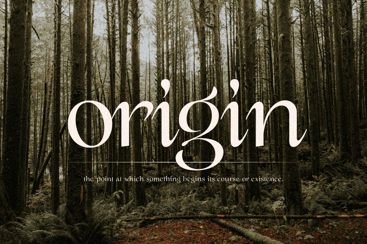gemonica - experimental serif font, a Serif Font by Sensatype (Photo 9 of 17)