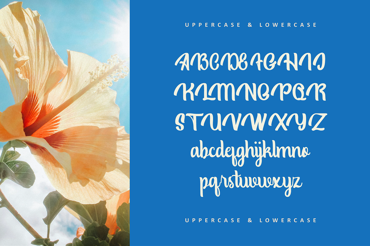 Clydia - A Script Font, a Script Font by Hanstype.com (Photo 6 of 10)