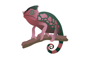 Chameleon lizard. Reptiles, an Animal Illustration by Things for designers