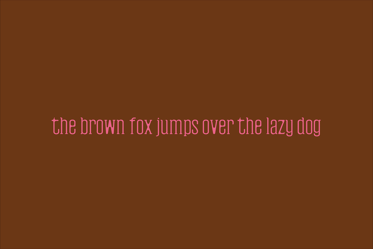 Hyman Rounded Serif Font Family, a Sans Serif Font by Design House (Photo 2 of 3)