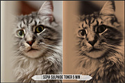 Darkroom Toners - Sepia Profiles, a Plug-in Add-On by Raztrend (Thumbnail 18 of 30)