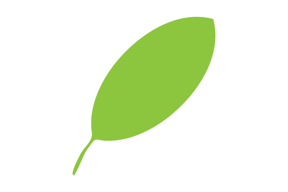 Leaf icon design template, a Solid Icon by Sumberpangan (Photo 2 of 3)