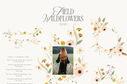 FIELD WILDFLOWERS watercolor, a Decorative Illustration by Lana Elanor (Thumbnail 3 of 12)