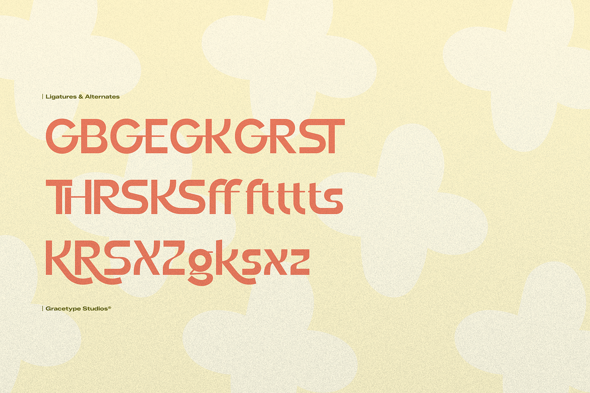 Nemilar | Display Sans Serif, a Font by gracetype_studio (Photo 11 of 12)