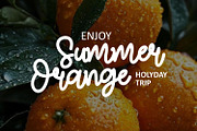 Alice Monoline Font – Cute Script, a Script Font by WhymoreArt (Thumbnail 8 of 10)