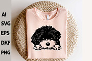 Peeking Havanese Dog Puppy Vector, an Animal Illustration by ARTify Illustrations (Thumbnail 7 of 8)