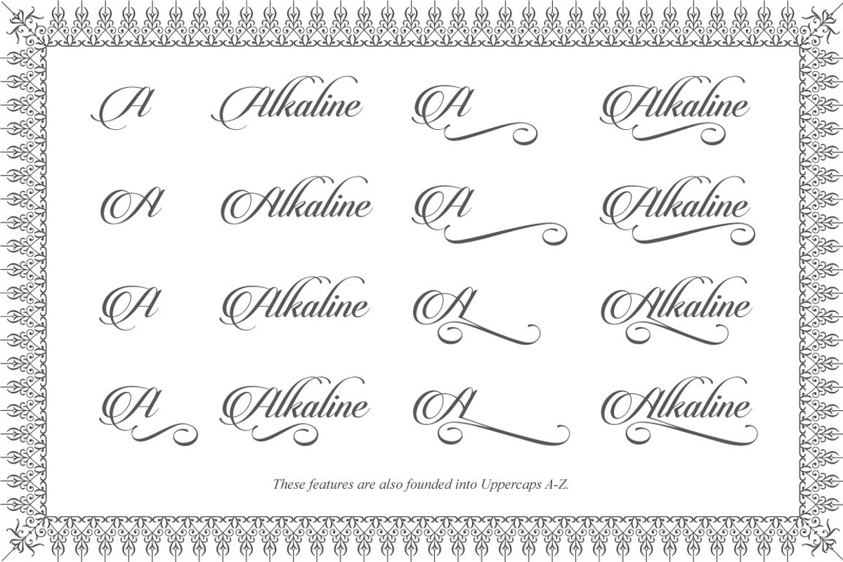 Candlescript Pro + Parts, a Script Font by Vast (Photo 3 of 5)