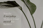 Sandyland Serif, a Serif Font by Violet Natural (Thumbnail 2 of 11)