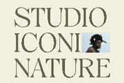 Dalbine Disco, a Serif Font by Craft Supply Co. (Thumbnail 7 of 8)