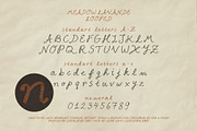Meadow Lavande - Romantic Font, a Handwritten Font by nadispasibenko (Thumbnail 13 of 13)