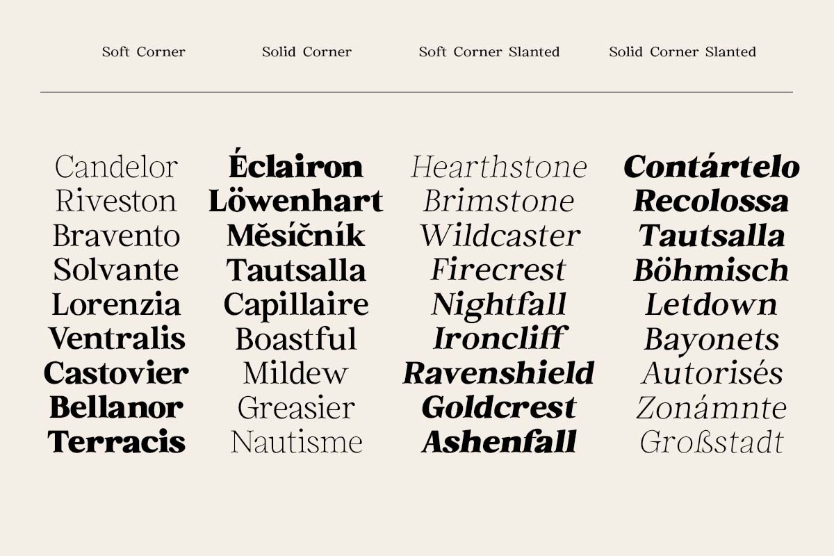 Euclid Serif | 180 Font Files, a Serif Font by Ws Studio (Photo 6 of 12)