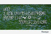 Airy, a Script Font by Paratype (Thumbnail 1 of 4)