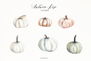 Autumn Flowers Pumpkins Clipart