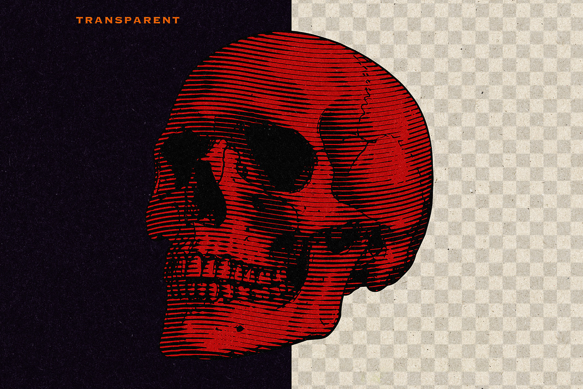 Vintage Skull Engraving Collection, an Object Illustration by Kaizla03 (Photo 4 of 5)