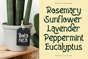 Sprinkle Darling New Display Kids, a Serif Font by Storytype Studio (Thumbnail 3 of 17)