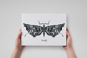 Butterfly Sketch Collection