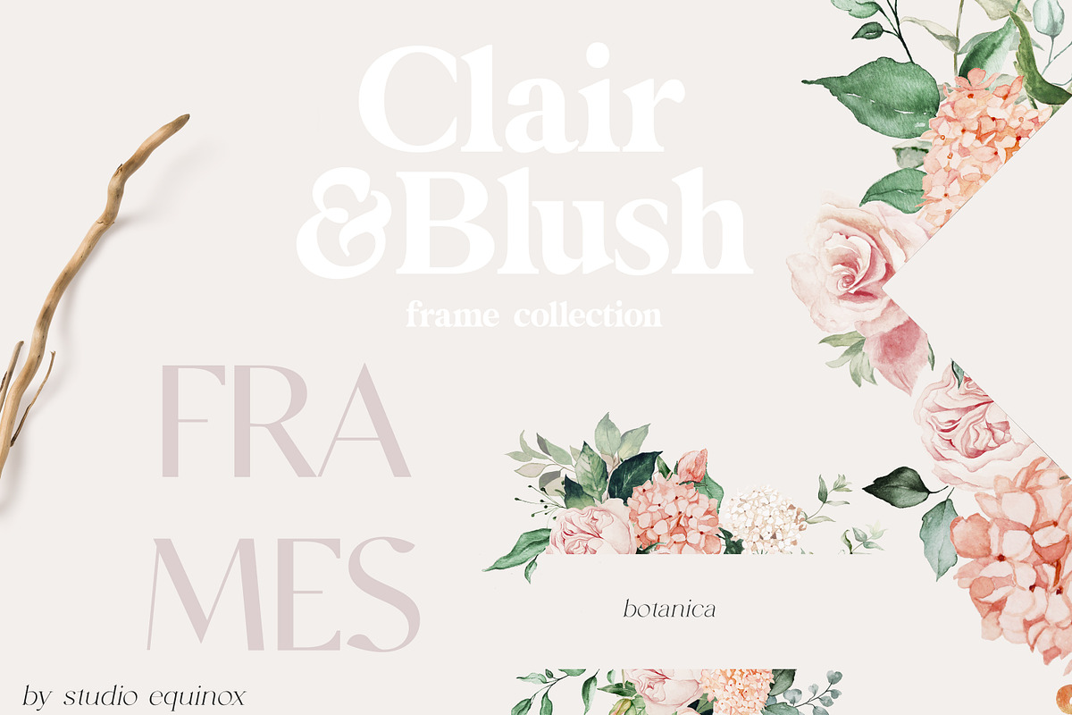 Clair & Blush - Summer Floral Set, an Illustration by studioequinox (Photo 7 of 14)