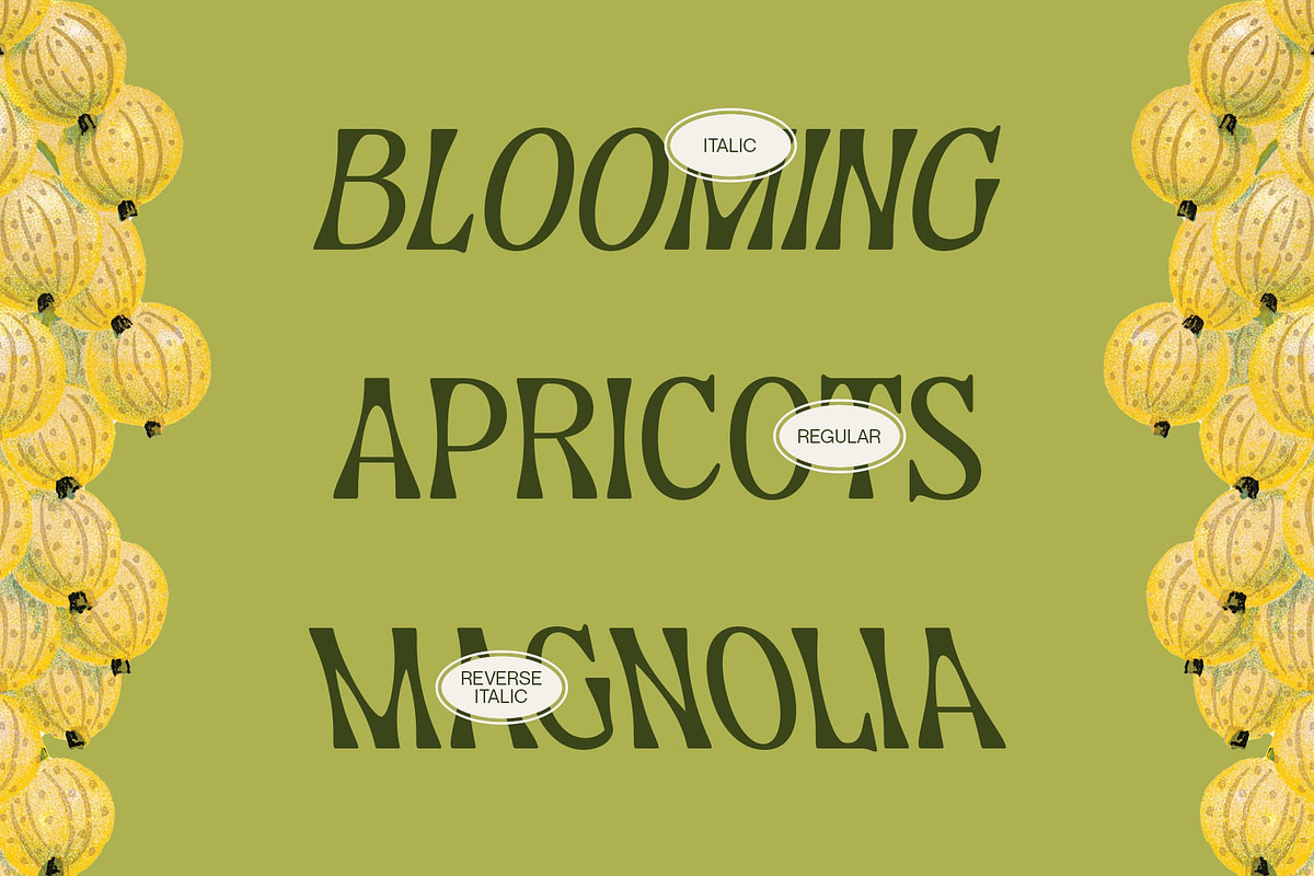 CS Marcia – Aesthetic Font, a Sans Serif Font by Craft Supply Co. (Photo 2 of 8)
