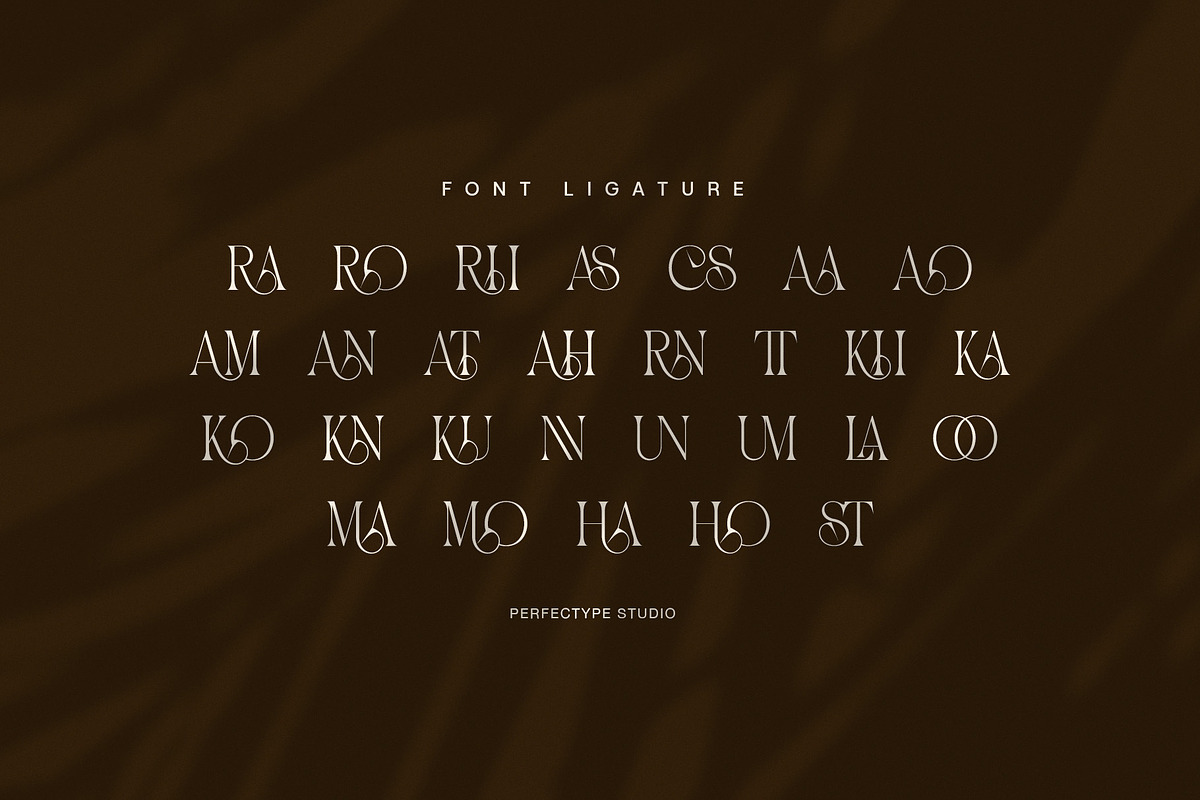 Soraya Elegant Display Serif Font, a Serif Font by Perfectype (Photo 8 of 8)