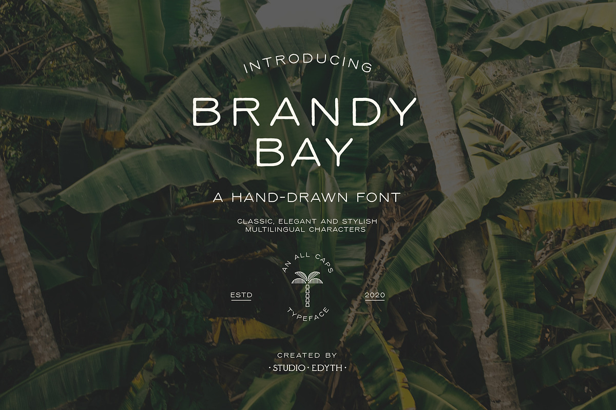 Brandy Bay - A hand drawn font, a Sans Serif Font by Studio Edyth (Photo 9 of 9)