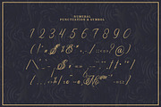 Alfiany Dek | Tattoo Style, a Script Font by Denustudios (Thumbnail 10 of 12)