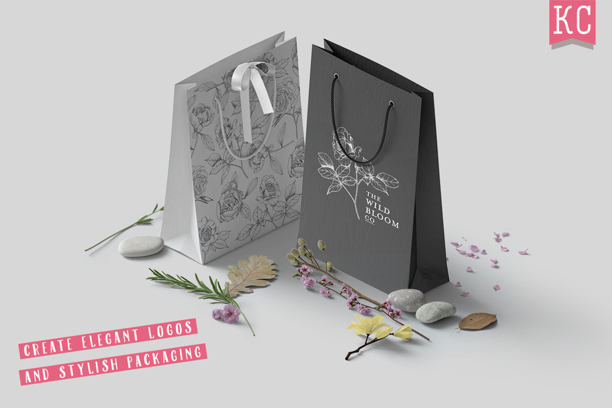 Vector Botanical Illustrations, an Illustration by Katy Clemmans (Photo 3 of 8)