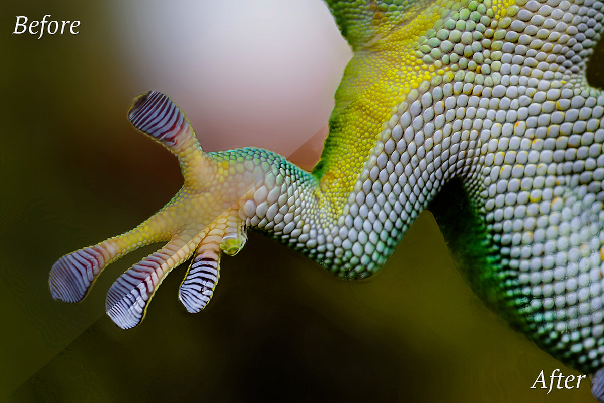 20 HDR Lr Presets preview 4
