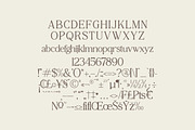 Samudera Classy Elegant Font, a Serif Font by Storytype Studio (Thumbnail 12 of 15)