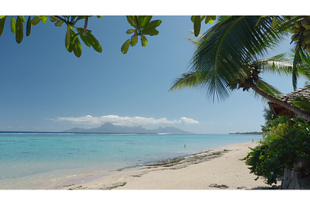 Moorea island emerging from the, a Nature Photo by Goinyk