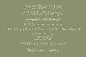 Balioo Rene - Script Monoline Font