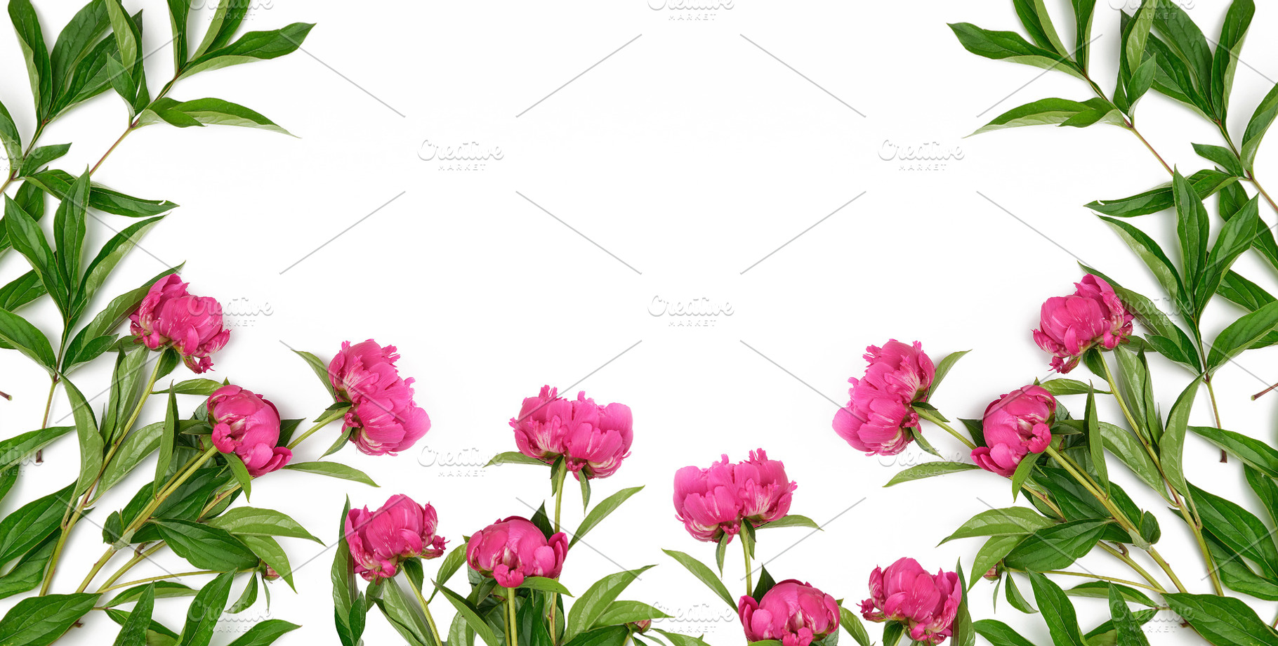 Flower arrangement of pink peonies and green leaves on a white b, a Background Photo by ndanko