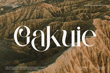 Gakuie || Modern classy Serif Font