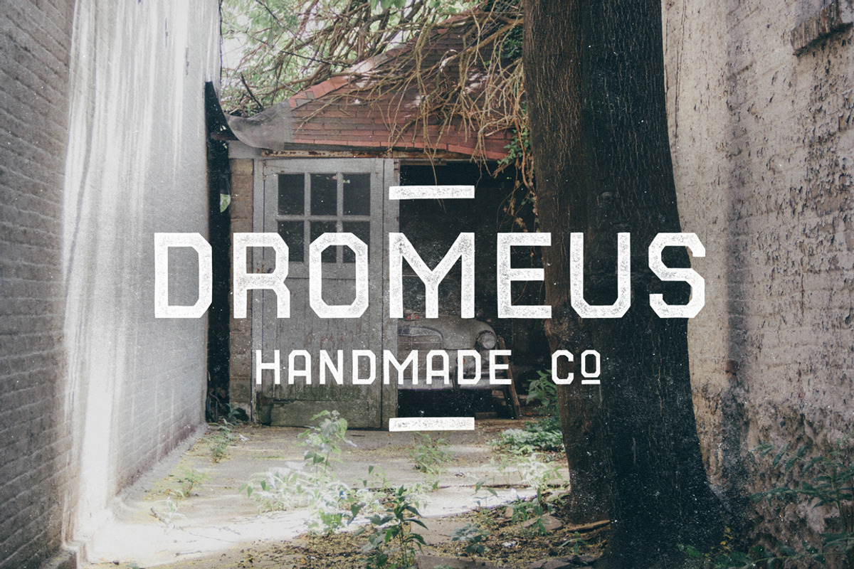 Dromeus