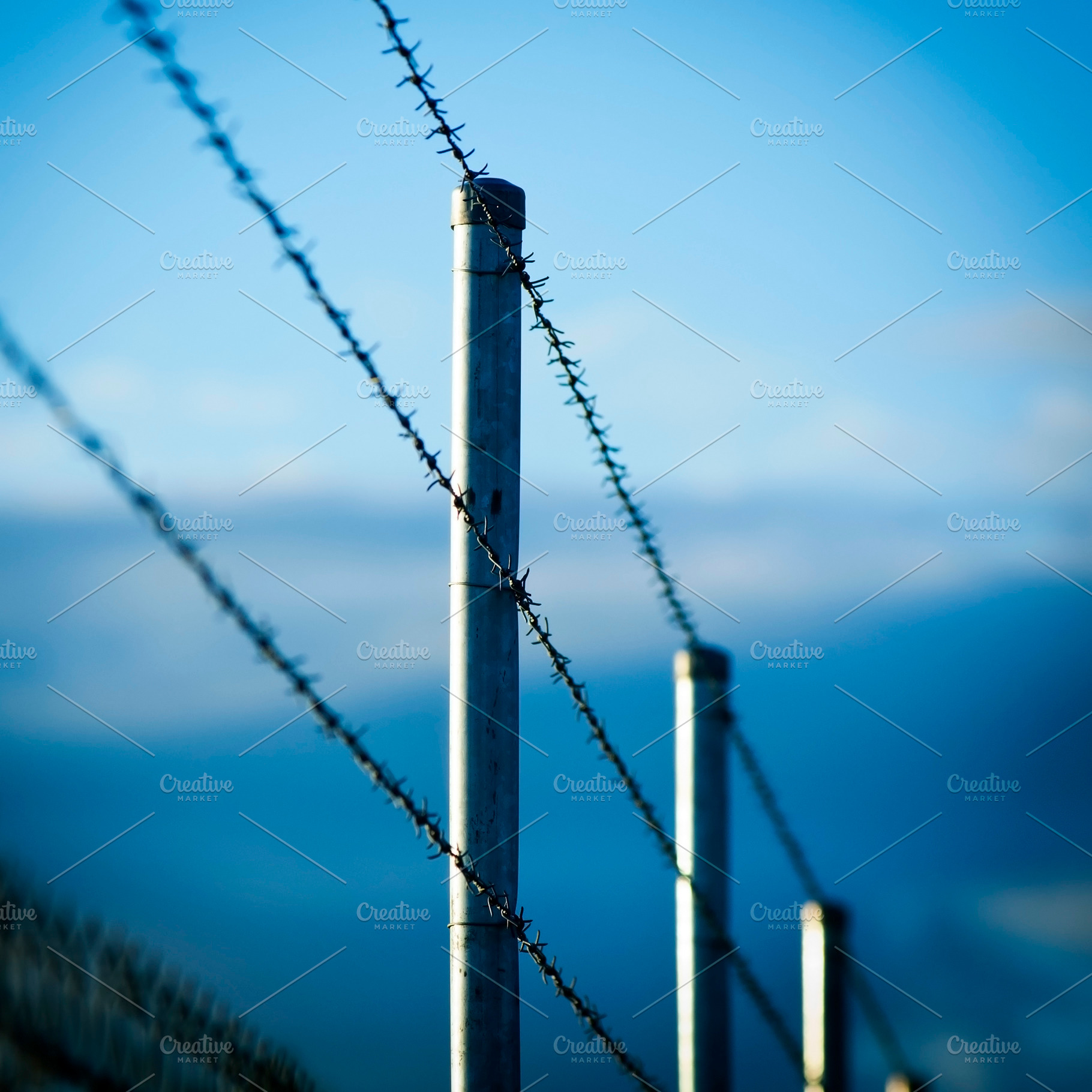 Barbed Wire Fence, an Industrial Photo by THP Creative