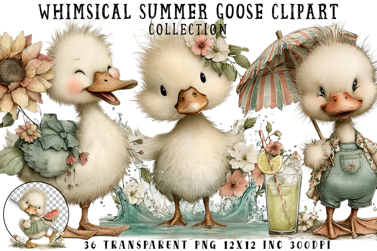 Whimsical Summer Goose Clipart, an Illustration by OK Design (Photo 1 of 6)