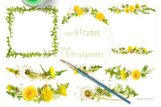 Dandelions-clipart set watercolor, an Illustration by watercolorwild.graphics (Thumbnail 8 of 11)