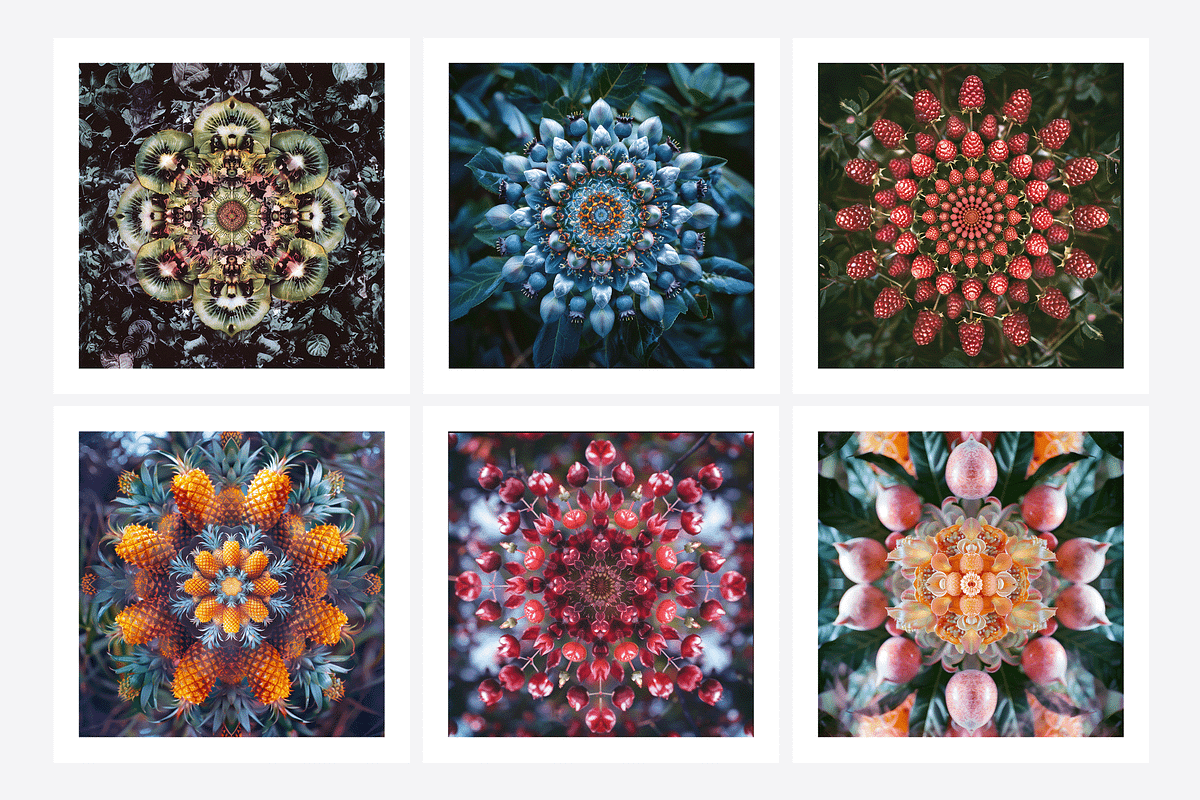 Muit Co · Retro Fruit Mandalas, a Food Illustration by milatovar (Photo 3 of 22)