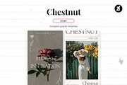 Chestnut social media template, a Social Media Template by Chanut is industries (Thumbnail 6 of 8)