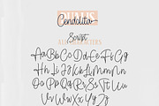 Cendolita Dualis - Script and Serif, a Script Font by Inspiratype (Thumbnail 11 of 11)