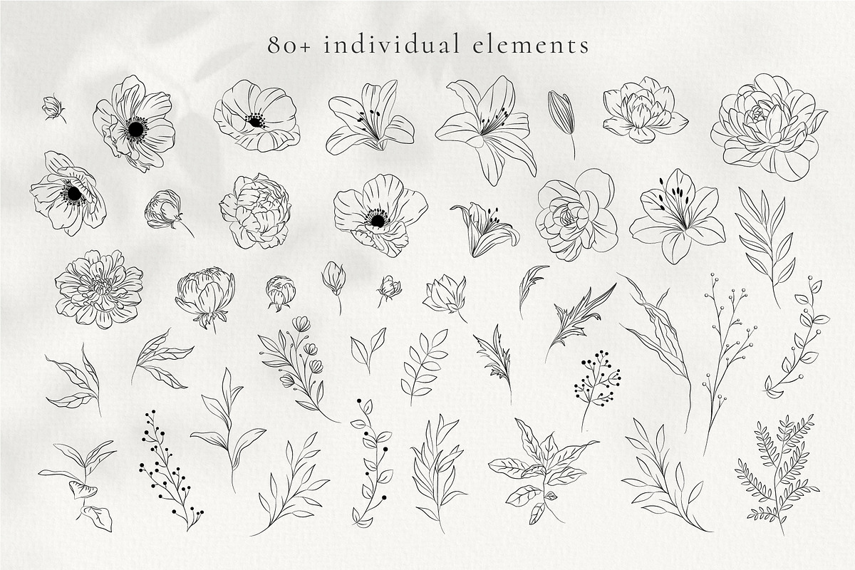 Minimalist Line Art Flowers, a Decorative Illustration by La Petite Line Art (Photo 2 of 13)